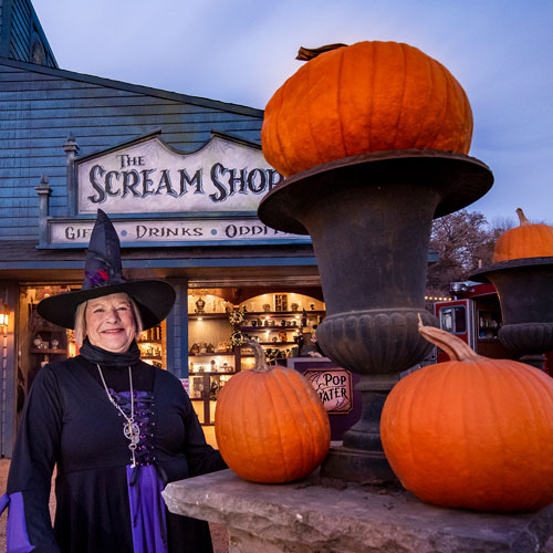 Your description here