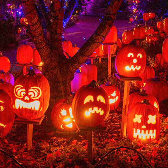 Jack-o'-lanterns at Pumpkin Town